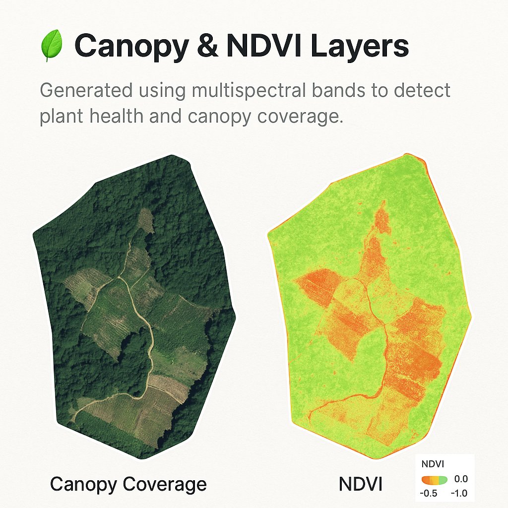 Canopy and NDVI layer showing vegetation health across plantation blocks