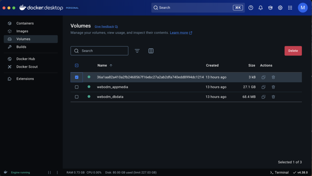 Docker volumes list — preserving appmedia and dbdata while deleting others