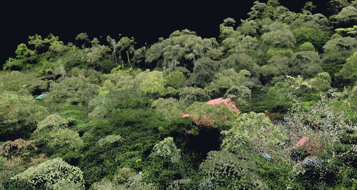 Point Cloud: A True-Colour 3D Digital Twin of Your Estate