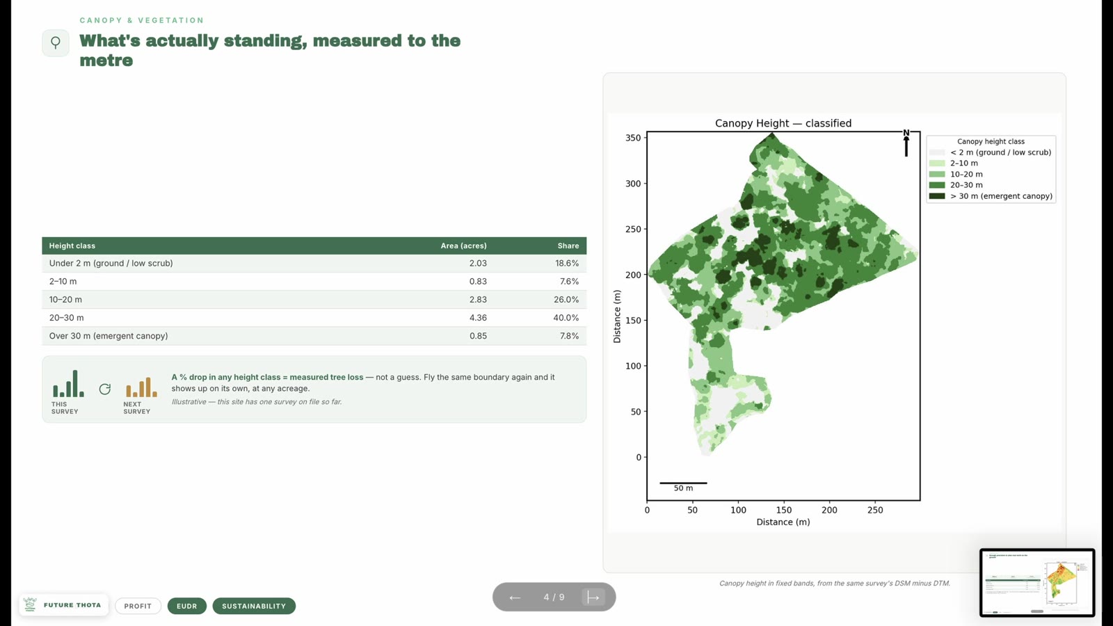 Classified canopy height map and area table, breaking down height bands from under 2m ground scrub to over 30m emergent canopy