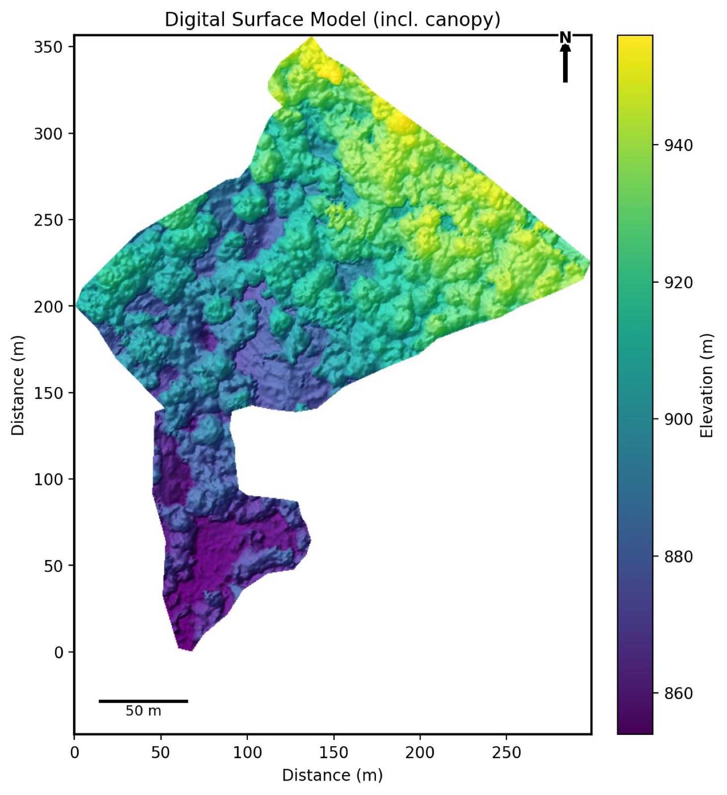 Digital Surface Model — surface elevation including canopy and structures