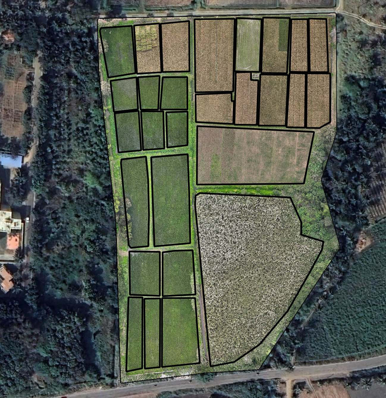 Individual field/plot boundary polygons in GeoJSON format, used as the clipping layer for grid generation