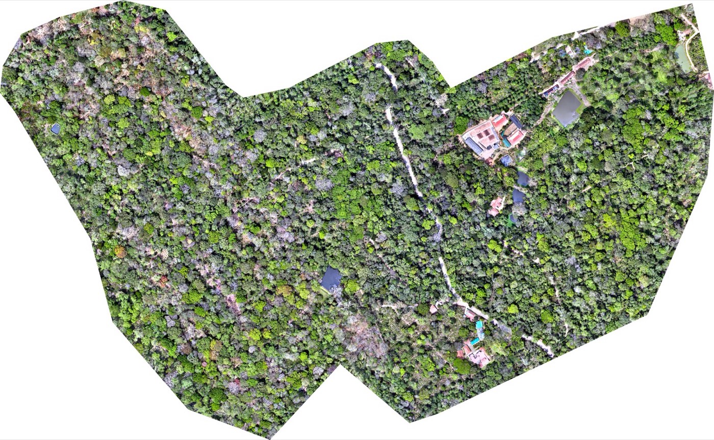 RGB aerial map, up to 3 cm/pixel