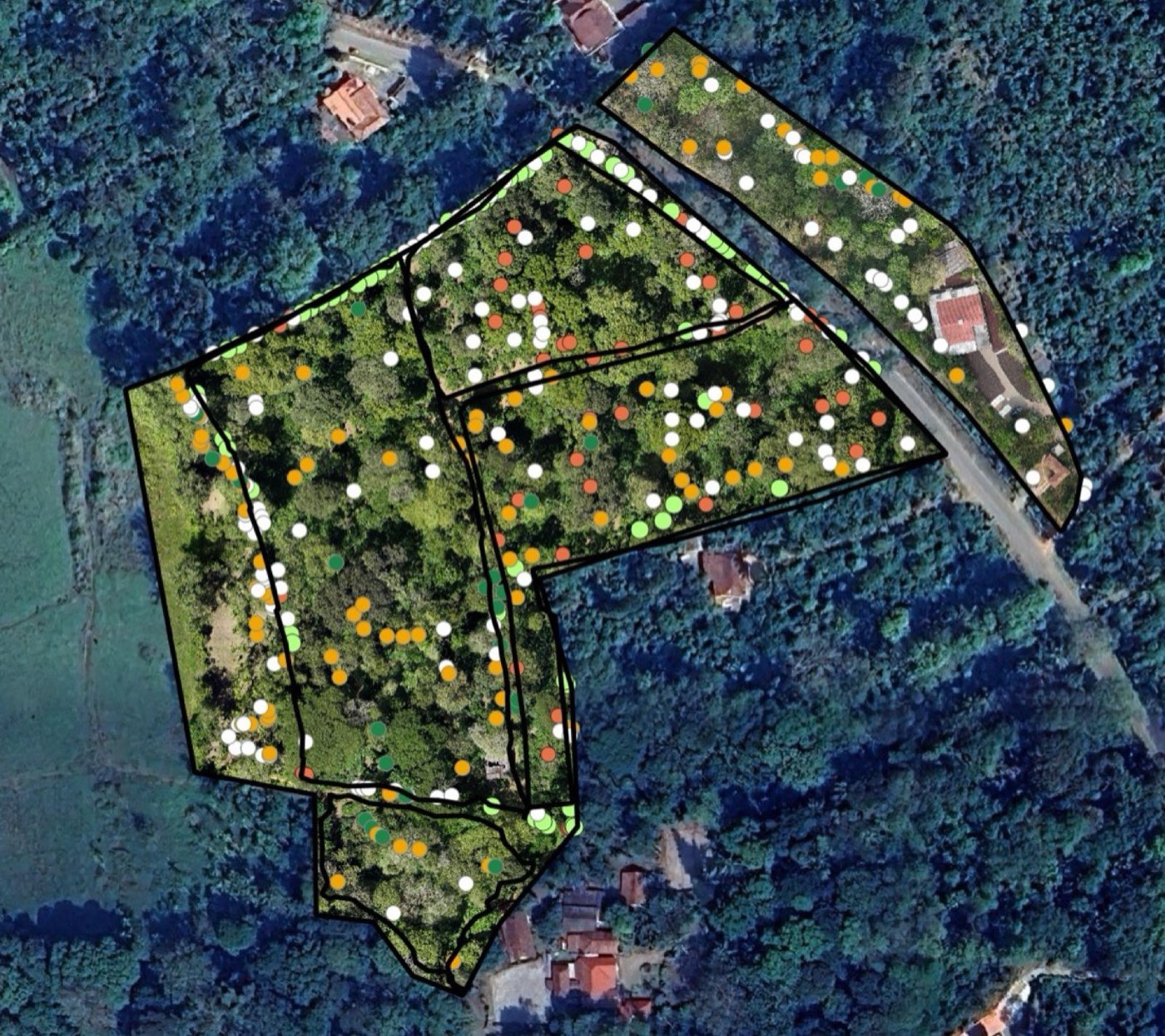 Plant-type classification across estate blocks, distinguishing crop varieties from drone imagery