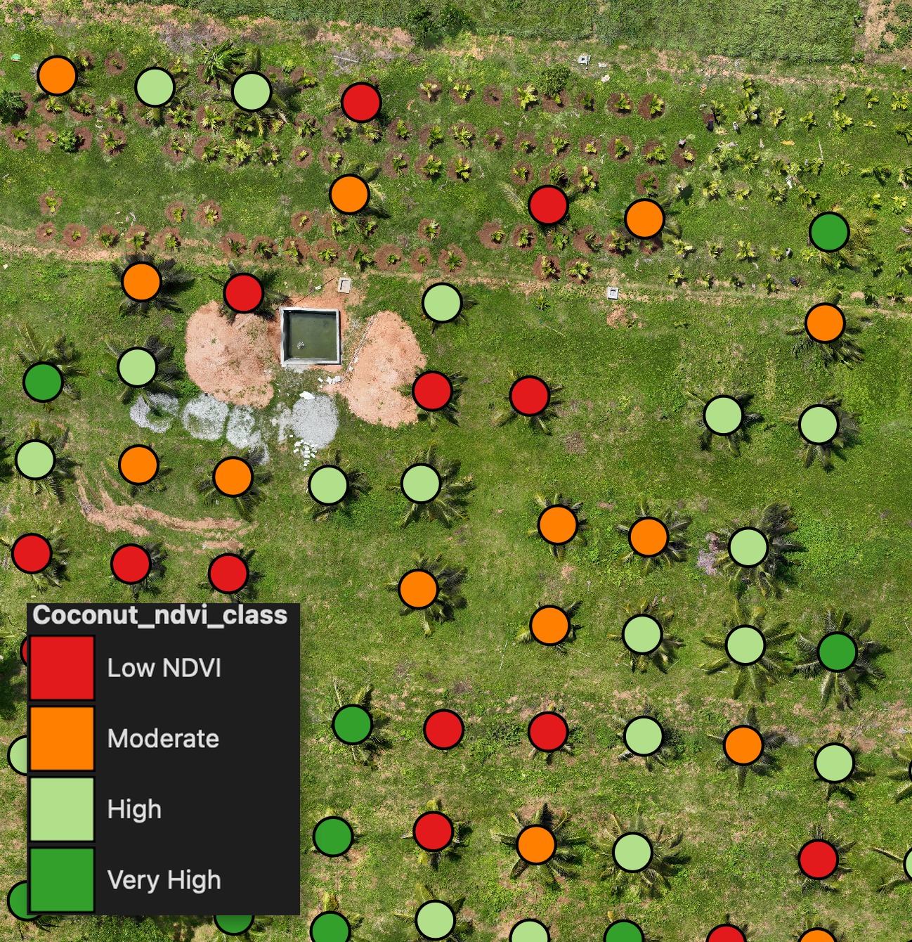 Coconut palms coloured by NDVI class — Low, Moderate, High, Very High — with legend overlaid