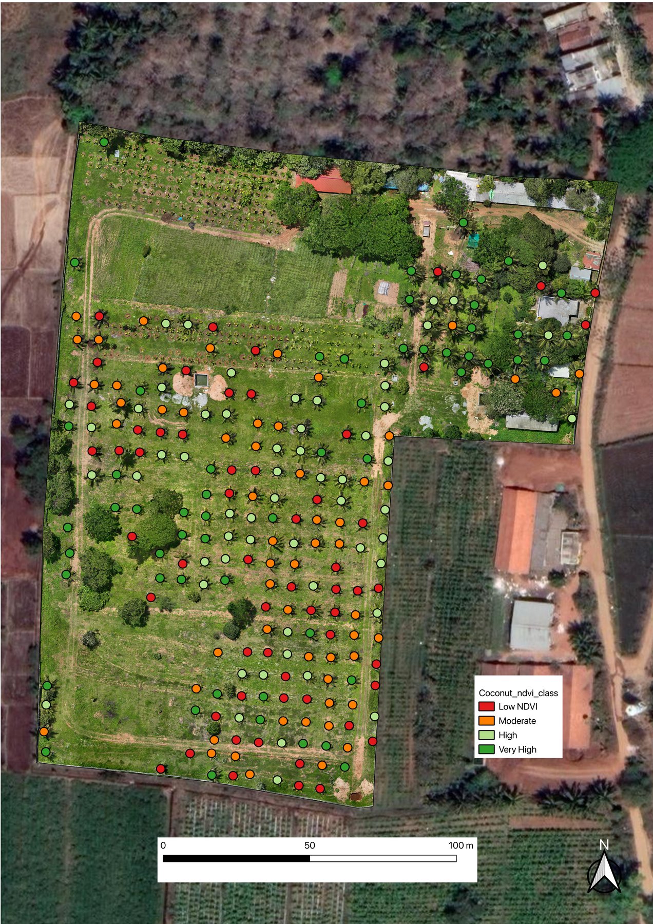 Map Individual Tree Height & Canopy NDVI in QGIS: A Complete Workflow
