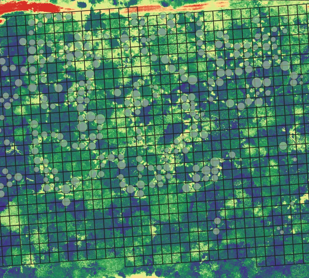 NDVI based grid analysis